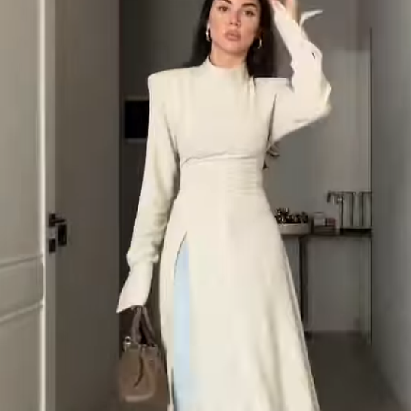 Women's Elegant High Neck Long - Women Formal Wear Office 评论和价格